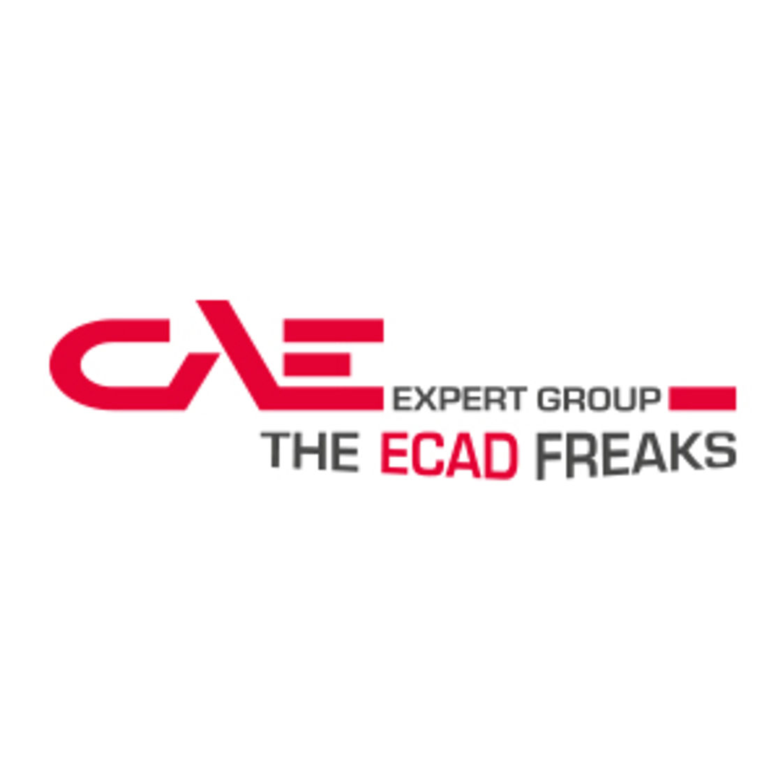 CAE Expert Group